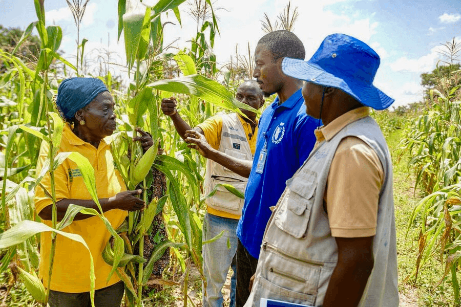 central-africa-agriculture 